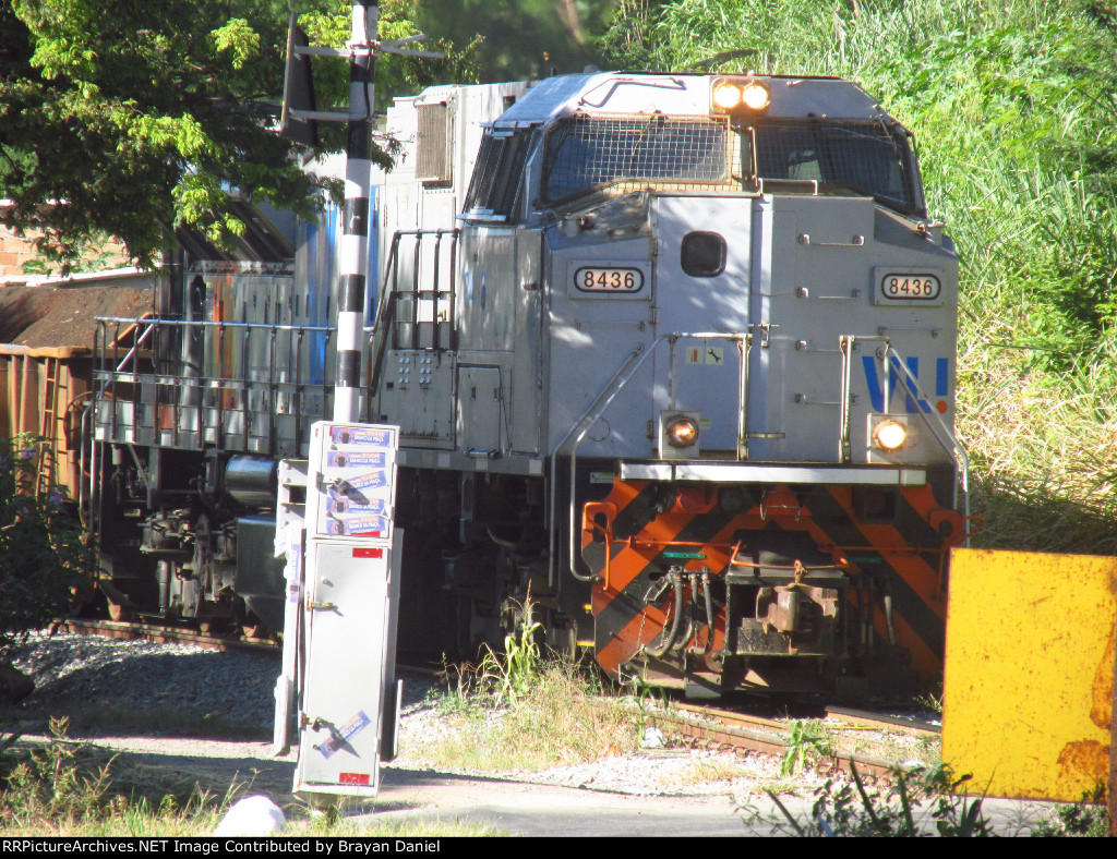 VLI 8436